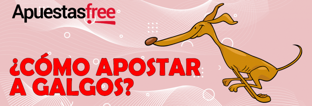 como apostar a galgos